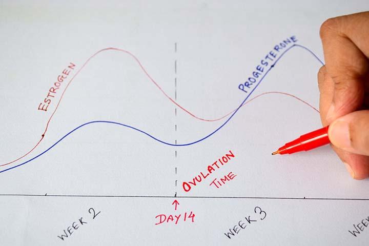 Track your fertile window to know safe period