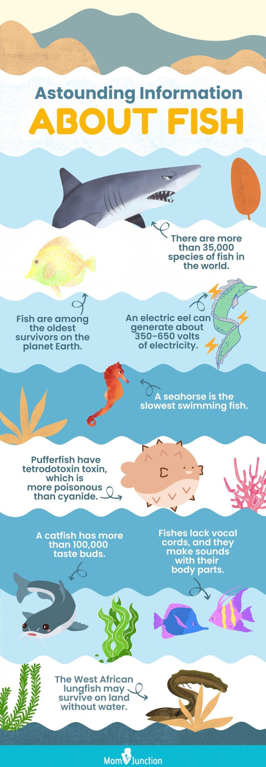 10 Essential Facts About Fish