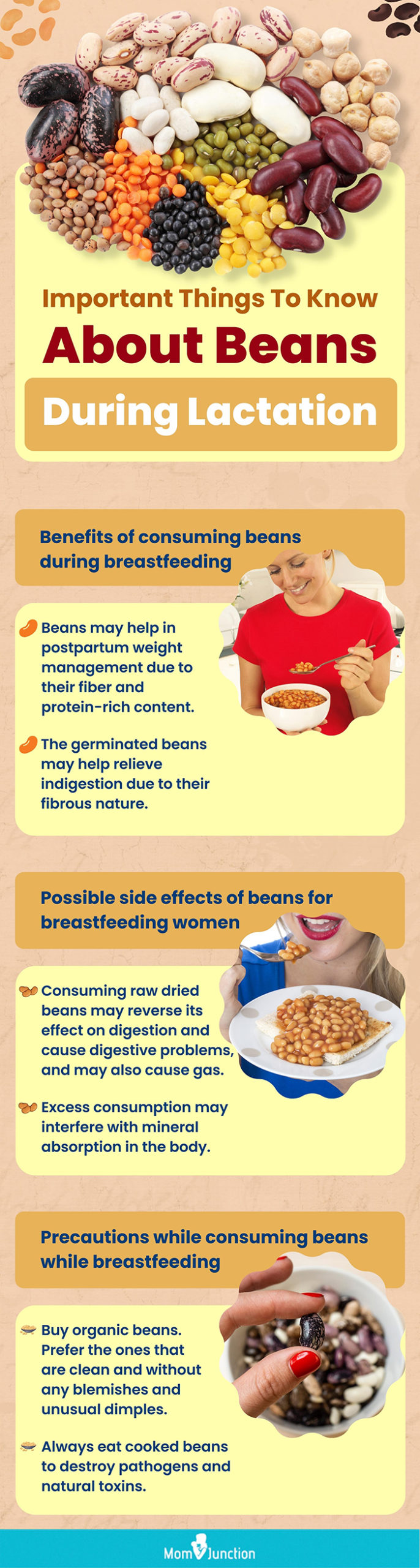 https://www.momjunction.com/wp-content/uploads/2022/11/Important-Things-To-Know-About-Beans-During-Lactation-Final-scaled.jpg