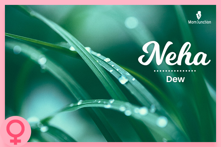 Neha also means rain