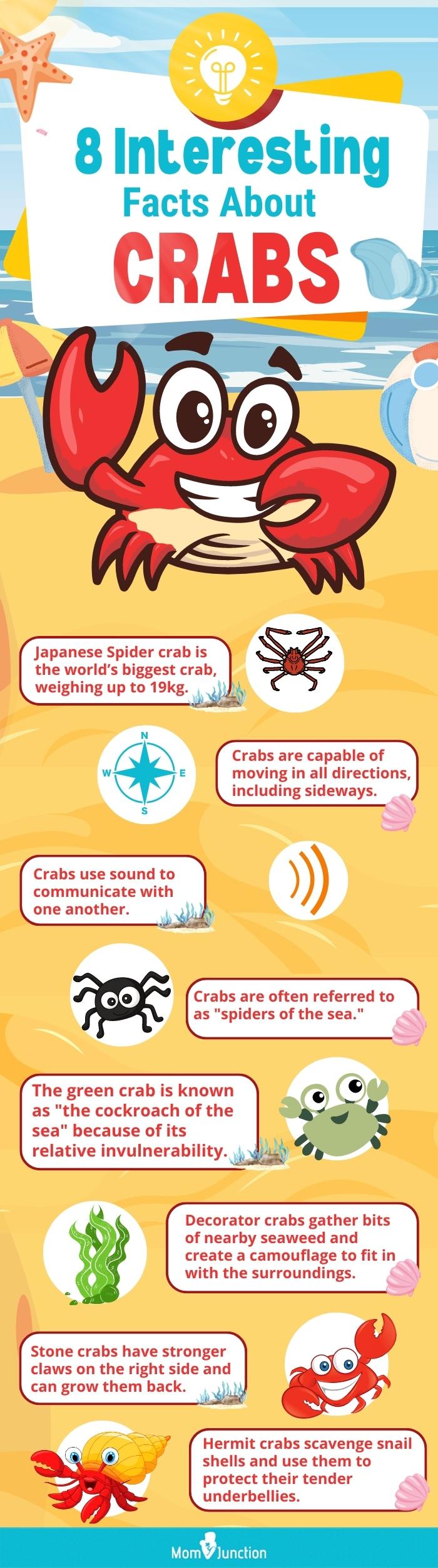 24 Fun Facts And Information About Crab For Kids