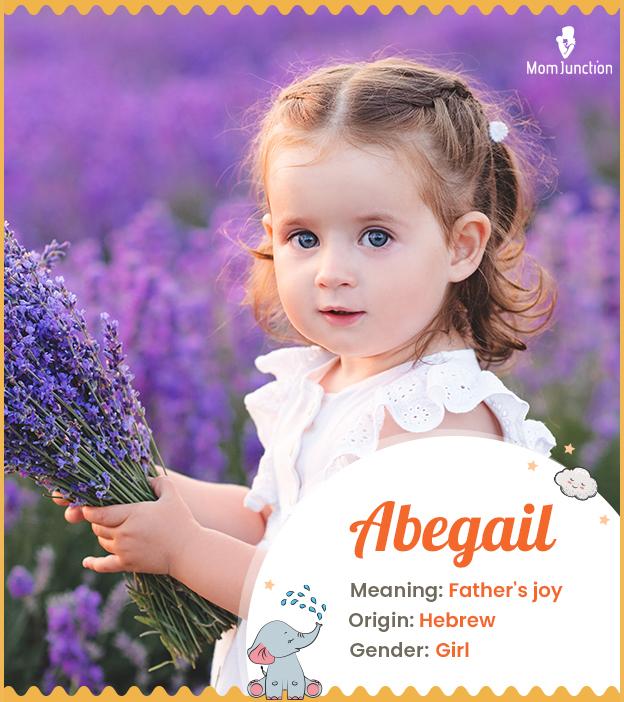 Abegail means father