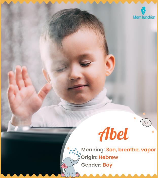Abel Name, Origin, Meaning, And History