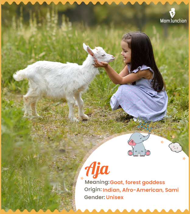 Aja, means goat, forest goddess, light, beautiful, cold spring, east.
