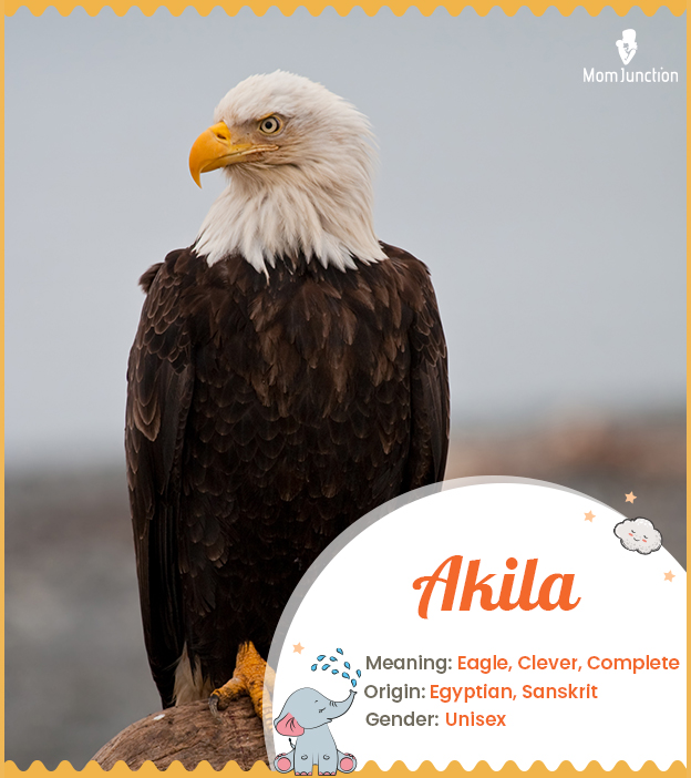 Akila, the clever one