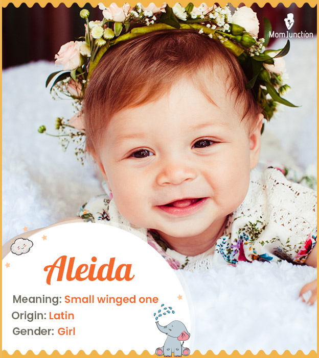 Aleida, meaning small winged one or noble person.