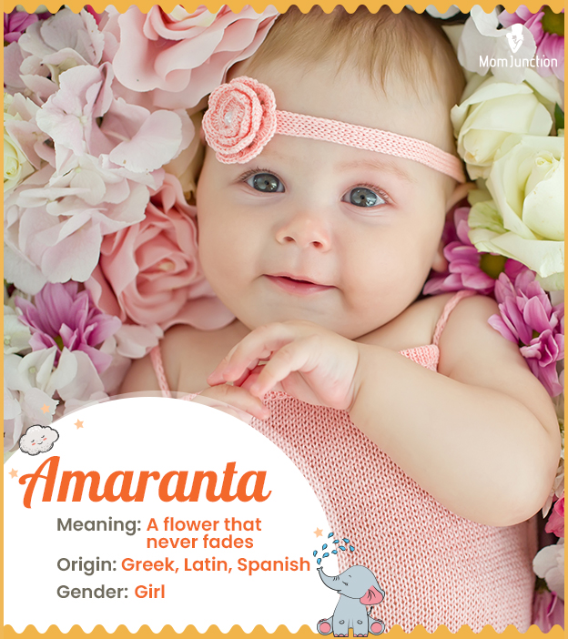 Amaranta, means a flower that never fades