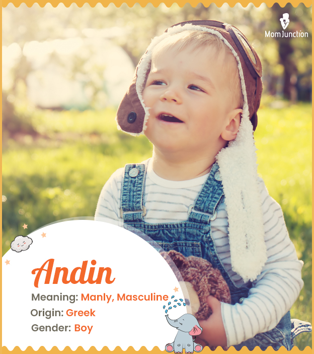 Andin means masculine or manly