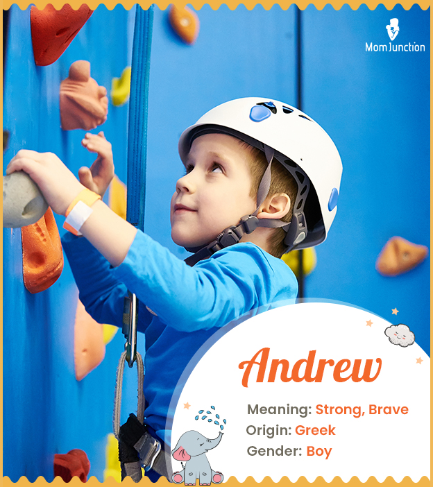Andrew, a name with a rich heritage