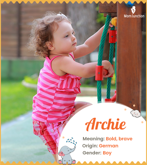 Archie, meaning a brave boy