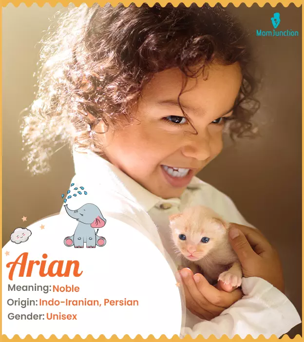 Arian Name Meaning, Origin, History, And Popularity