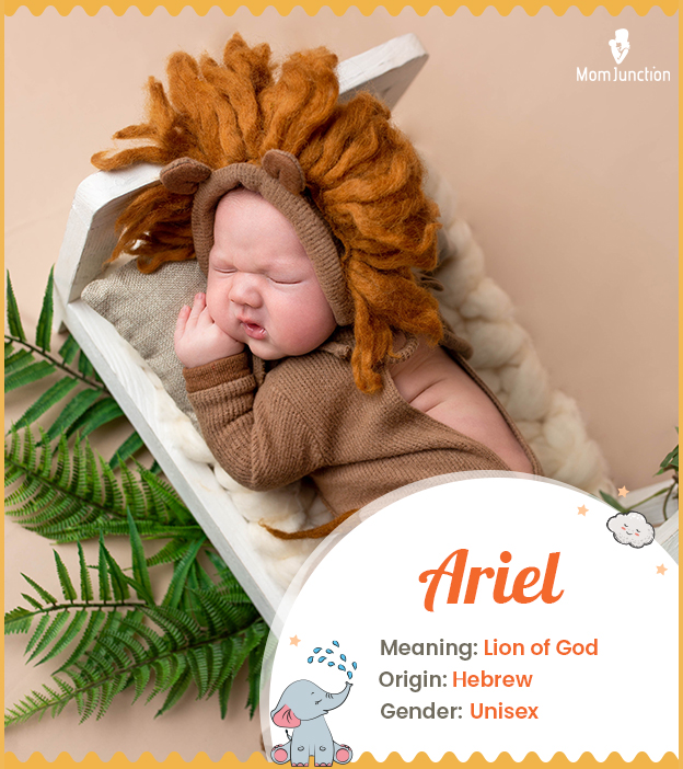 Ariel, a Hebrew name meaning Lion of God