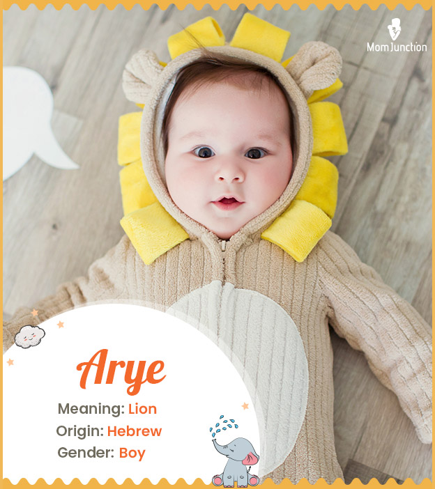 Arye is a powerful lion name.