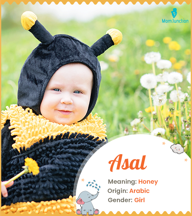 Asal, meaning Honey