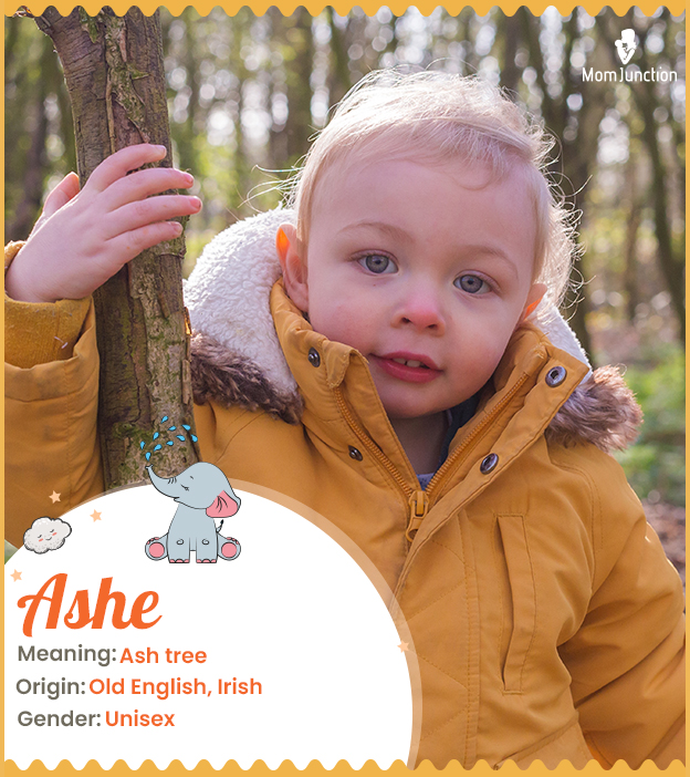 Ashe, meaning ash tree