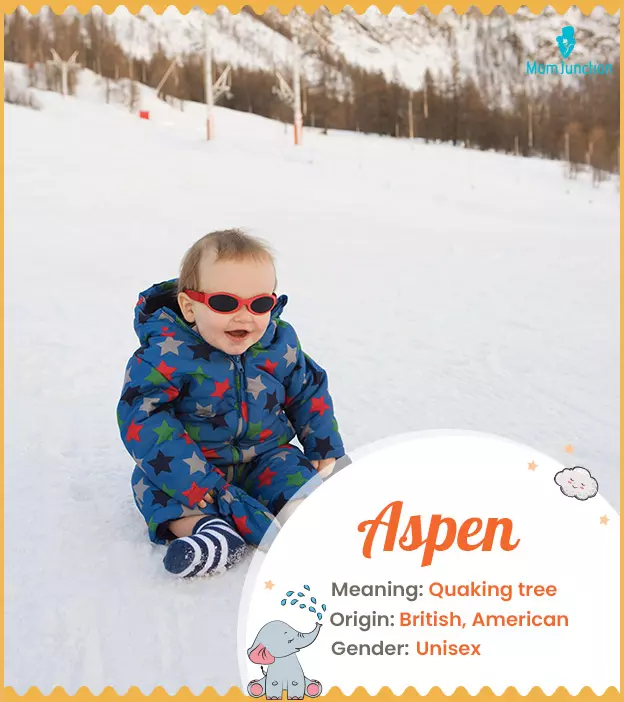 Aspyn - Name Meaning, Origin, And Popularity