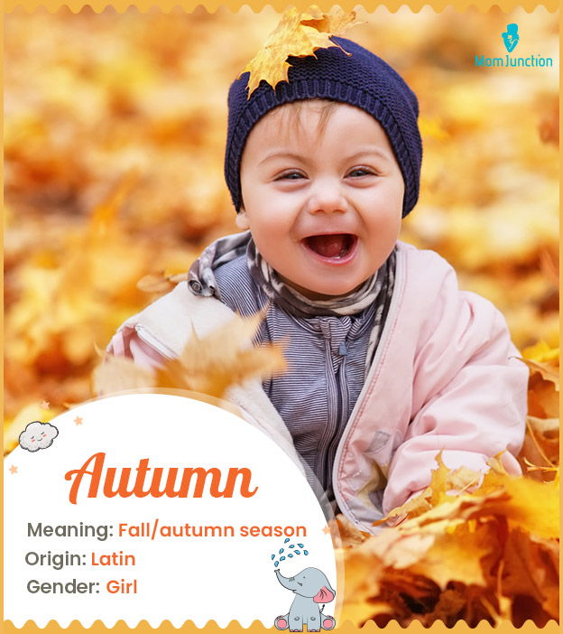 Autumn refers to the season