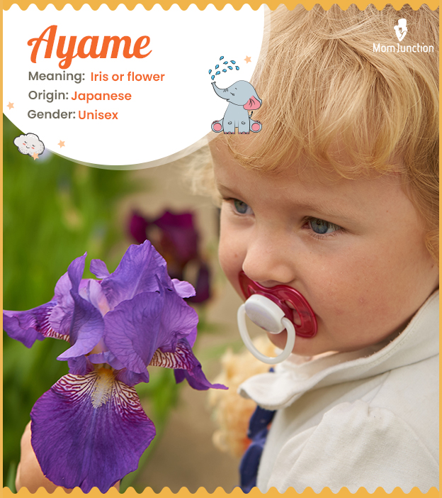 Ayame, means iris flower.
