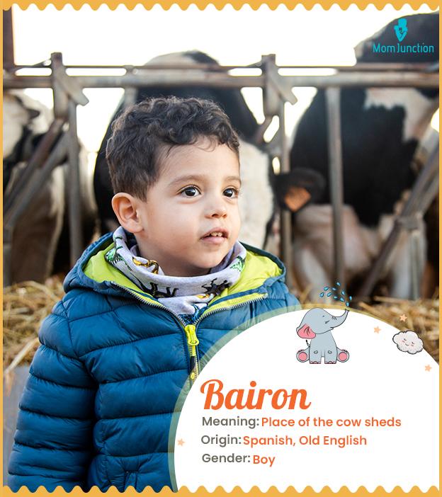 Origin, Meaning & Other Facts About Baby Name Bairon