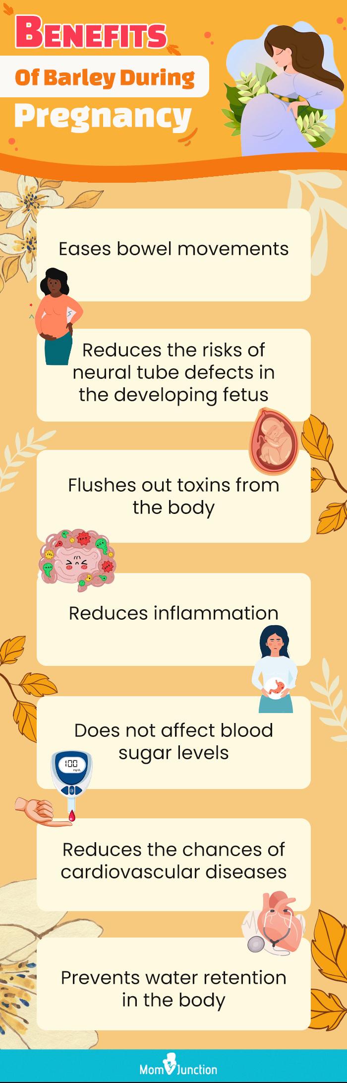 Barley During Pregnancy Safety, Health Benefits And Risks