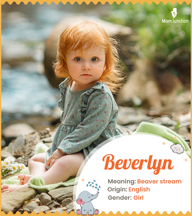 Beverlyn, meaning beaver stream.