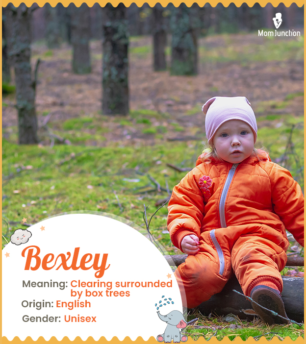 Bexley, meaning clearing surrounded by box trees