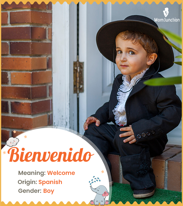 Bienvenido meaning welcome