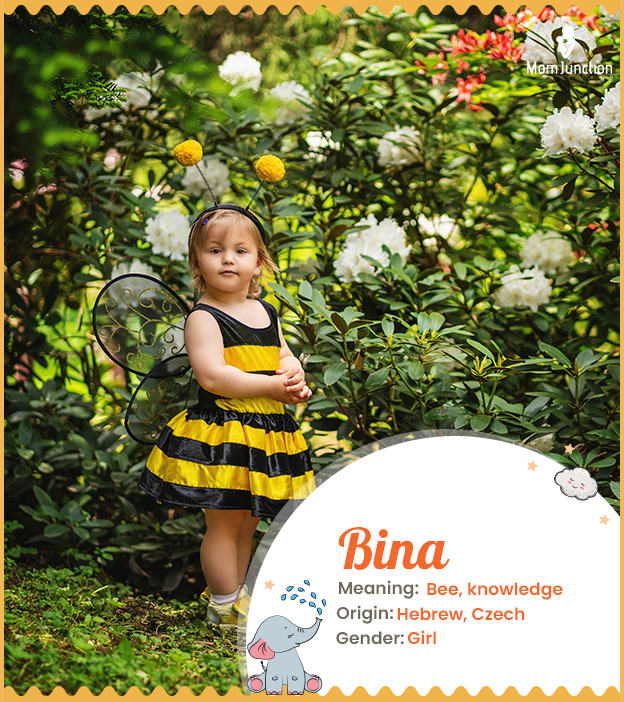 Bina, name of nature and wisdom