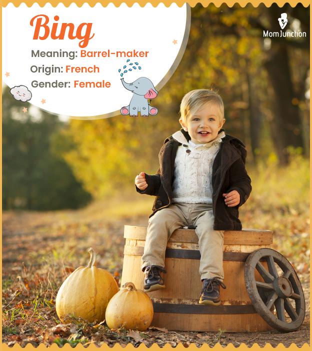 Origin, Meaning & Other Facts About Baby Name Bing