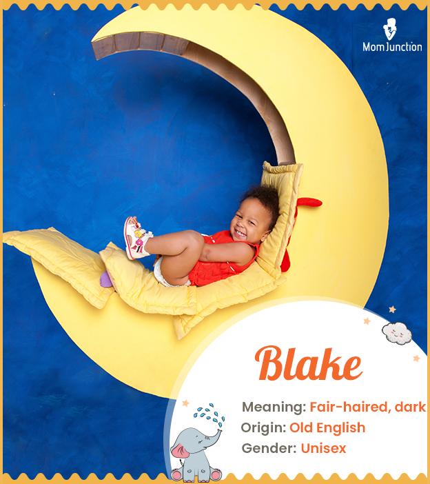 Blake Name Meaning, Origin, History, And Popularity