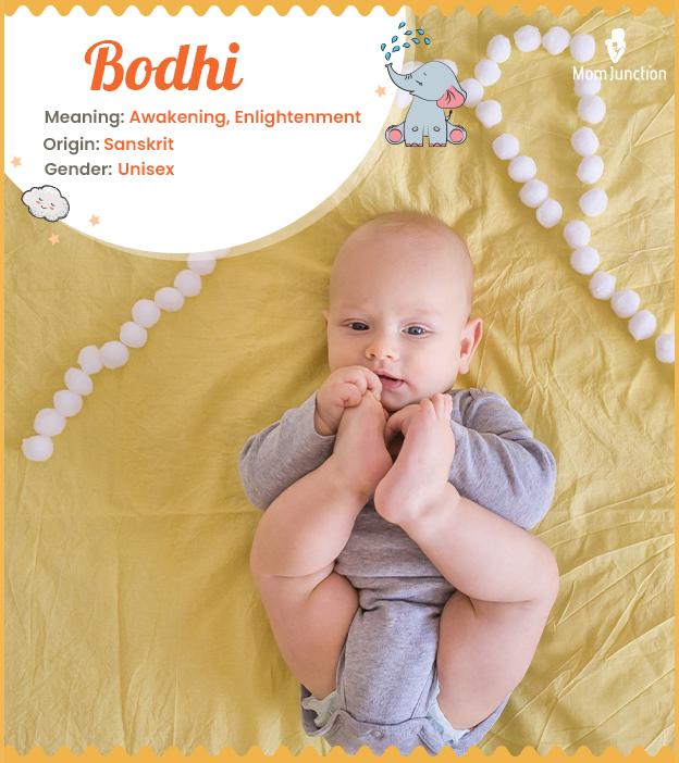 Bodhi meaning awakening