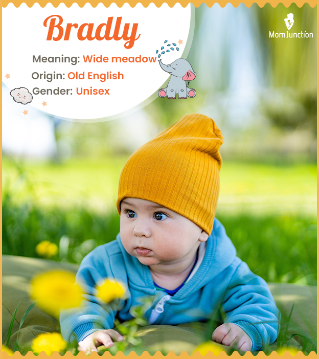 Bradly, a unisex name meaning broad meadow.