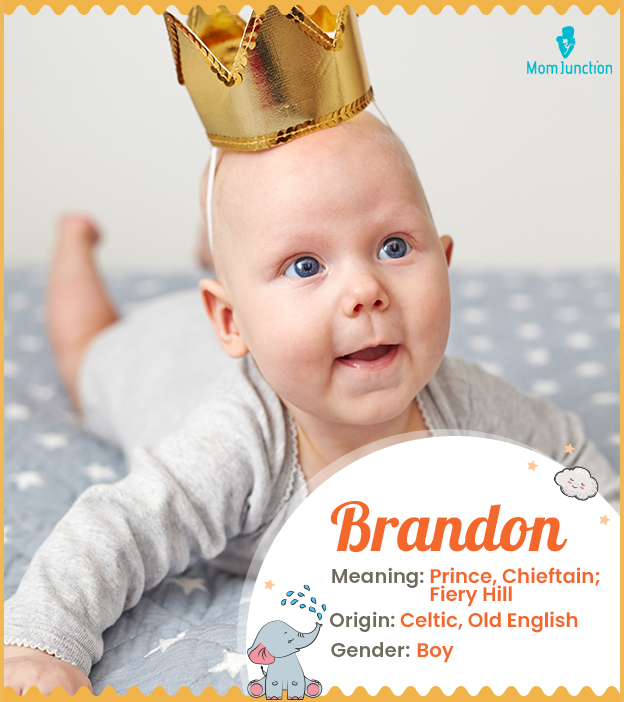 Brandon Name, Meaning, Origin, History, And Popularity