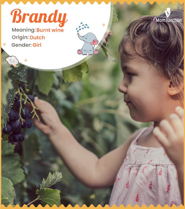 Brandy Name Meaning, History, Origin, And Popularity