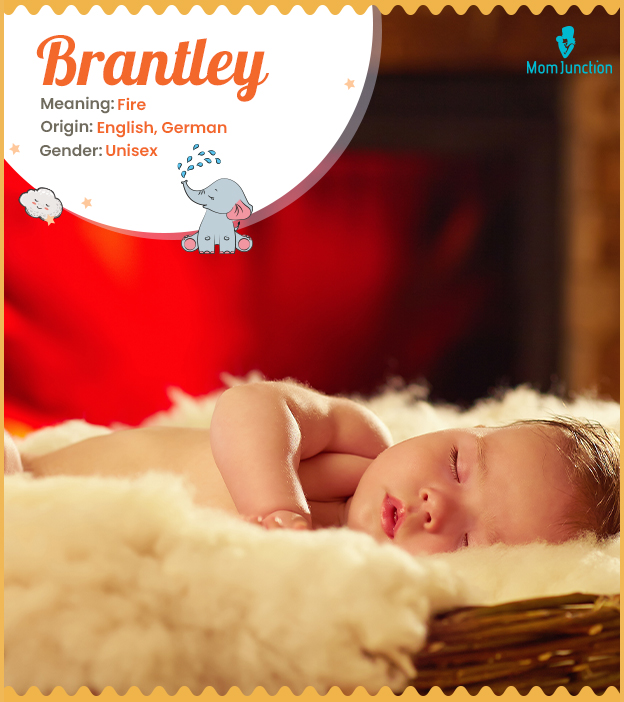 Brantley, the little fireball