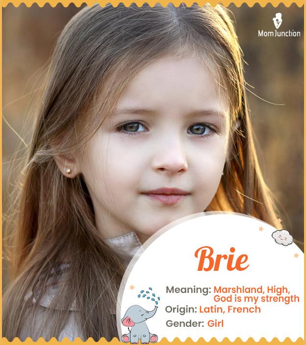 Origin, Meaning & Other Facts About Baby Name Brie