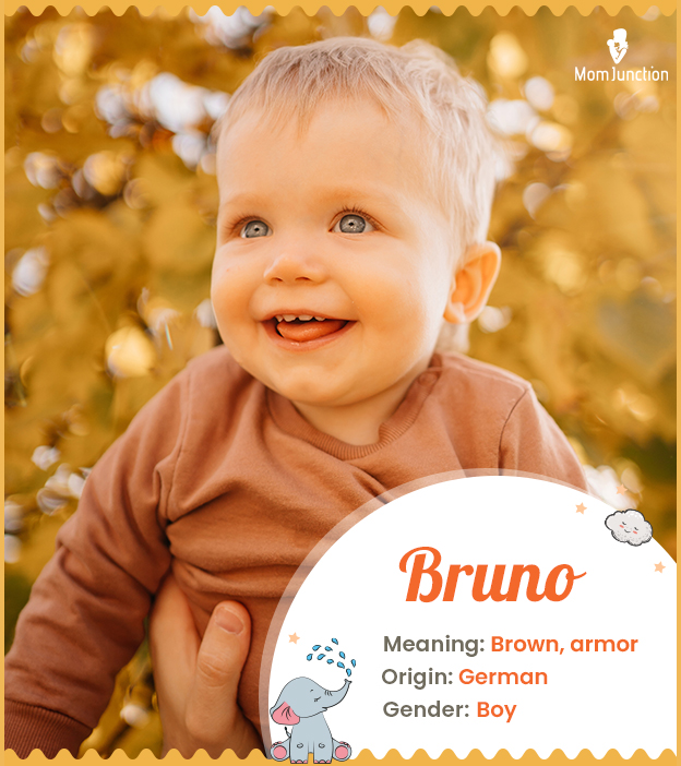 Bruno means brown and armor
