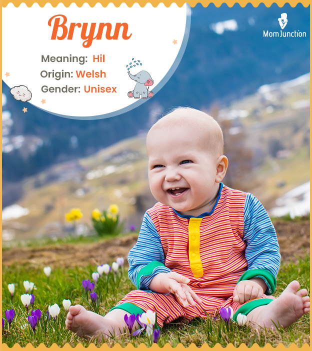 Brynn, a Welsh name meaning hill