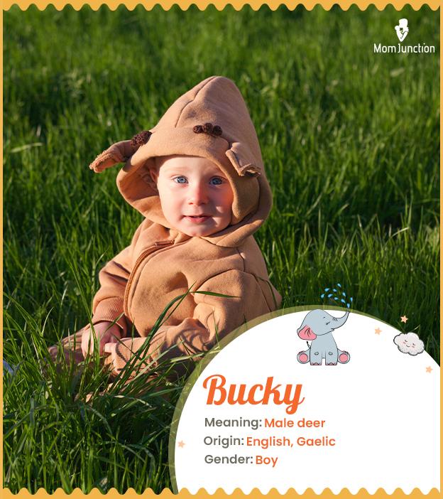 Origin, Meaning & Other Facts About Baby Name Bucky