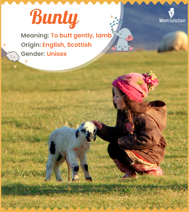 Bunty, the little lamb