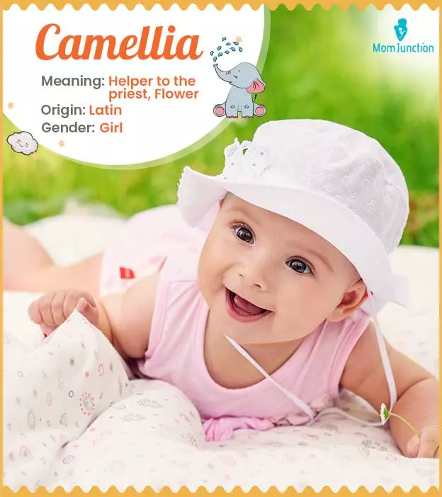Camellia - Name Meaning Origin And Popularity
