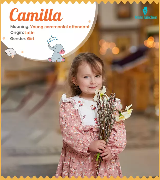Camilla Name, Meaning, Origin, History, And Popularity