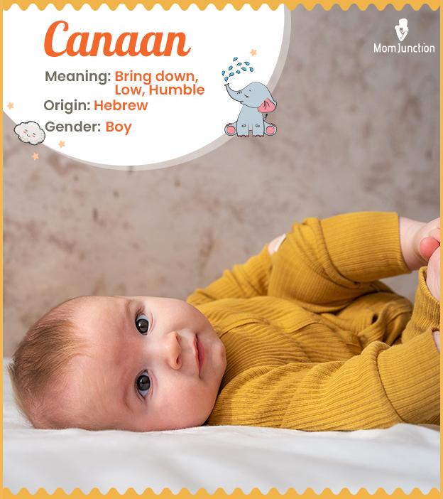 Canaan Meaning, Origin, History, And Popularity