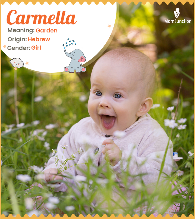 Carmella, a beautiful garden