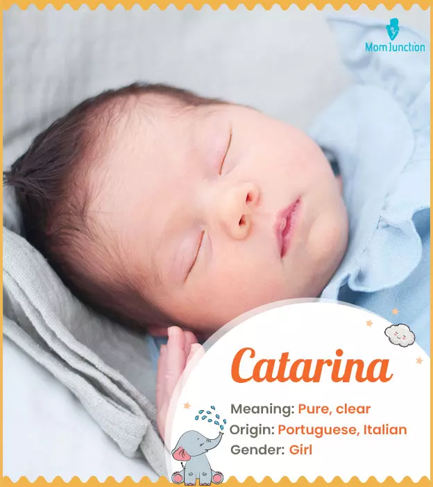 Catarina - Name Meaning Origin And Popularity