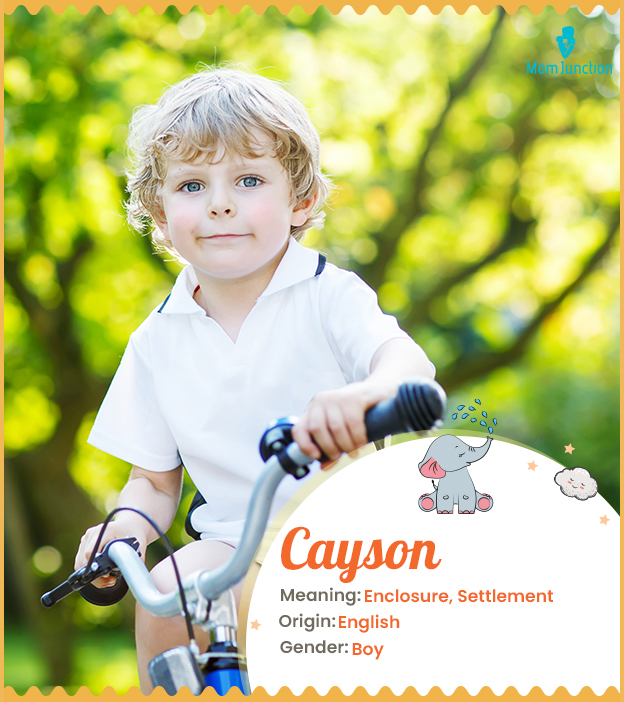 Cayson means enclosure or settlement.