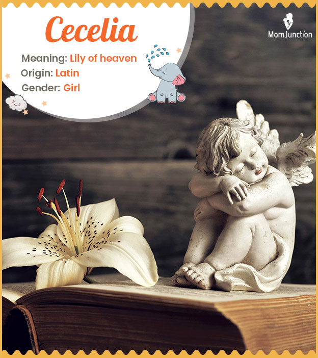 Cecelia, lily of heaven
