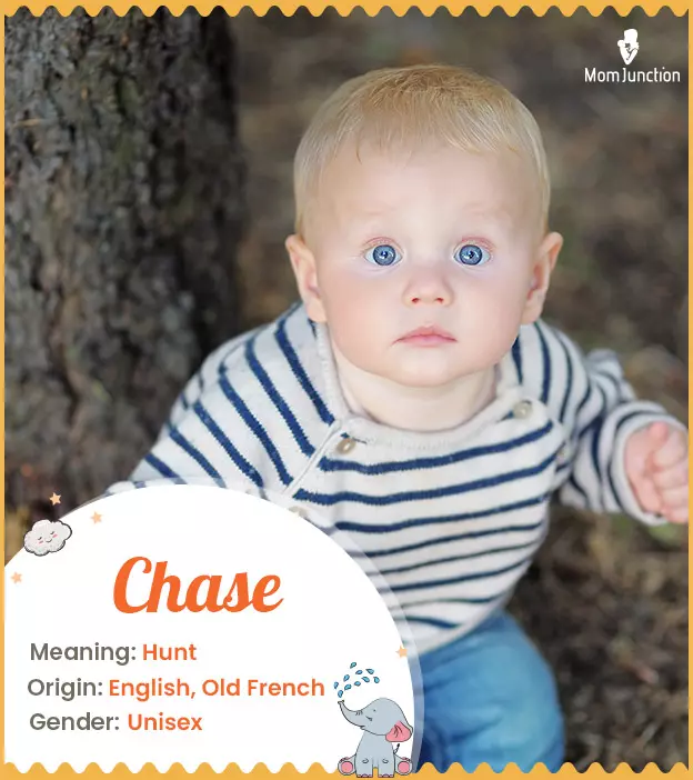 Chase Name Meaning, Origin, History, And Popularity