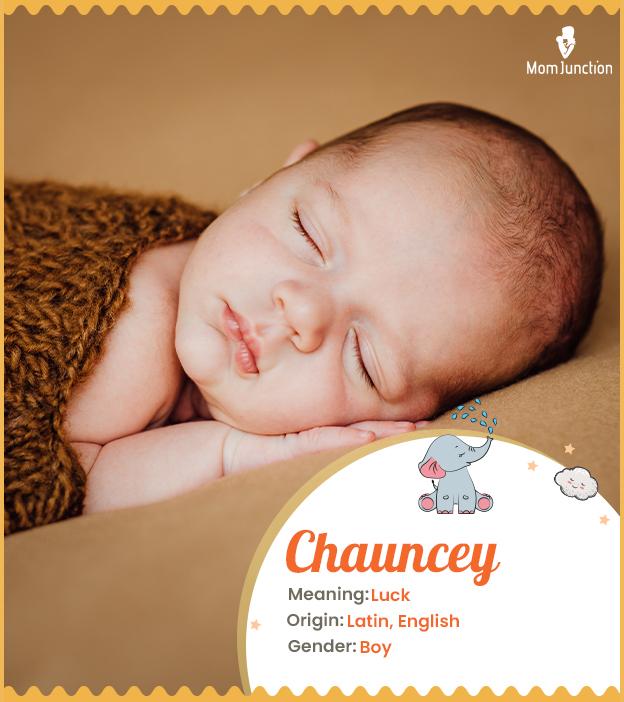 Chauncey: Meaning, Origin, Popularity