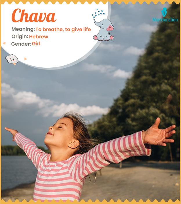 Chava Name Meaning, Origin, History, And Popularity